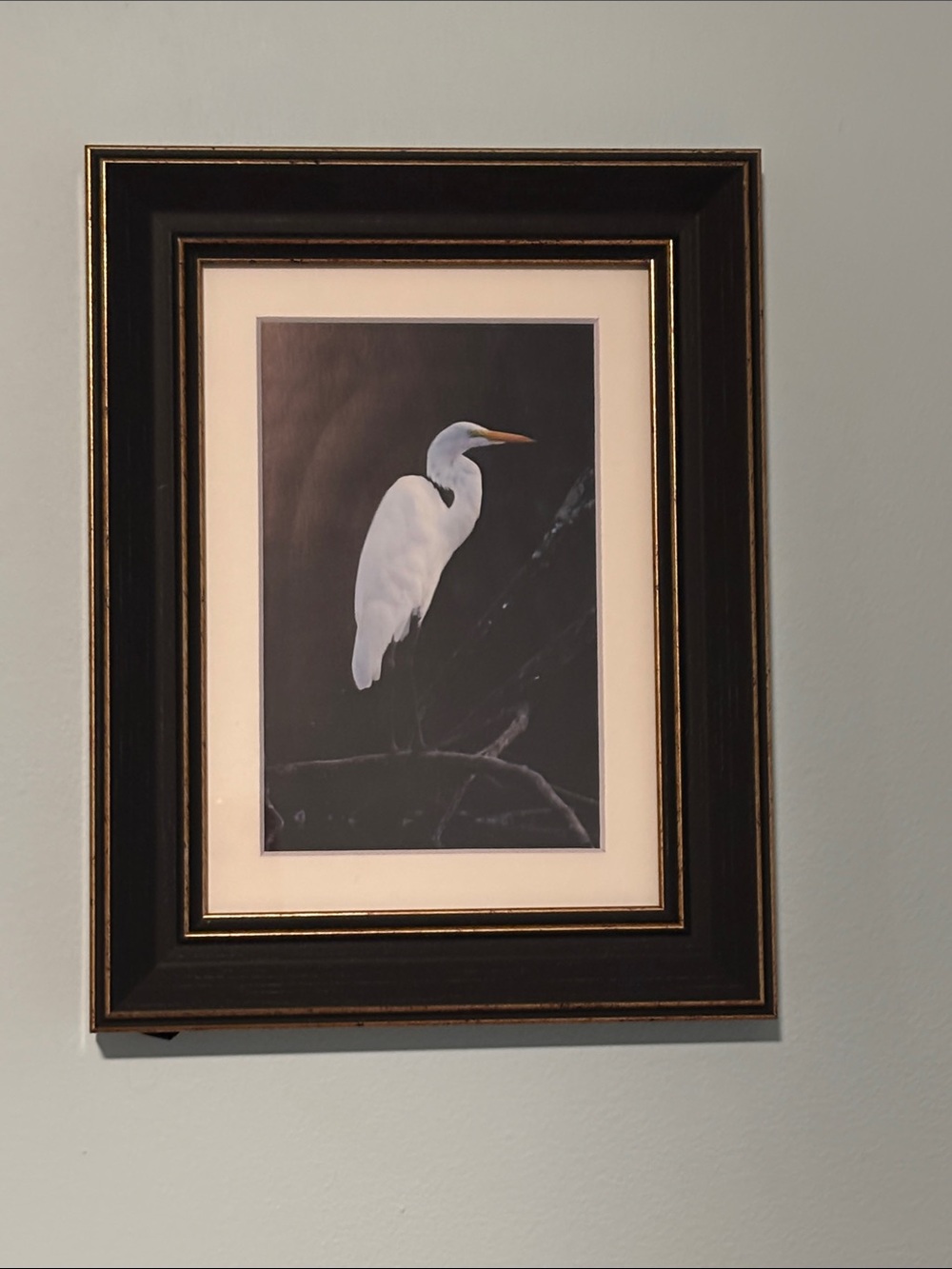 Artisan Black Wood Frame Featuring White Great Egret Photography Art